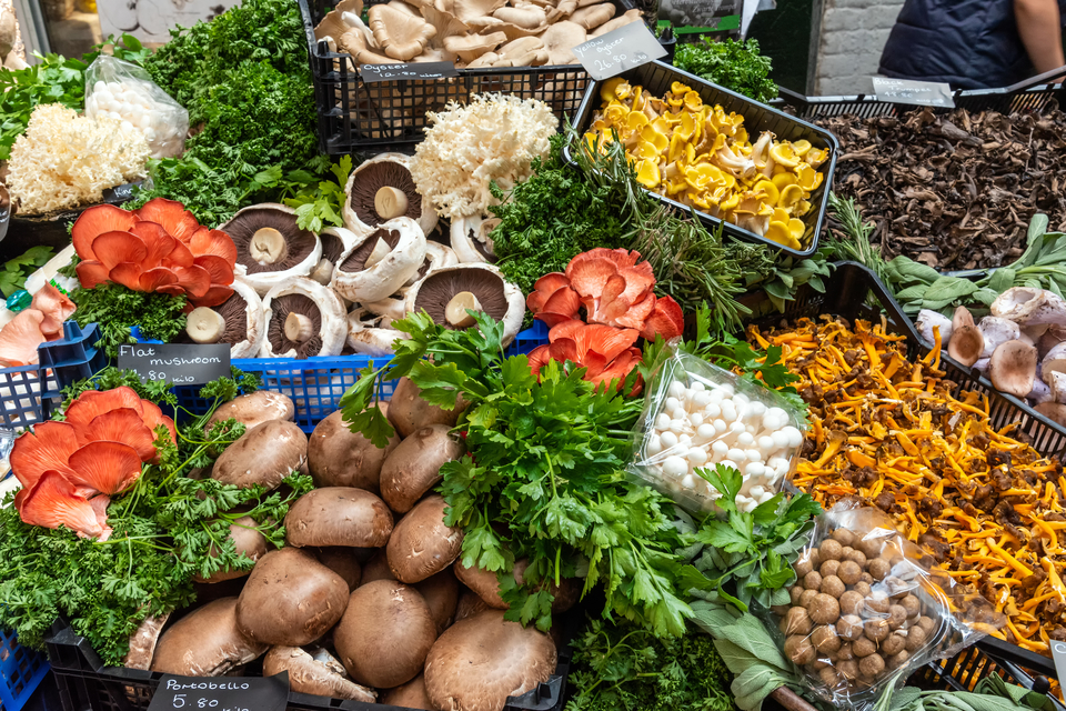 mushrooms are a powerful health food source