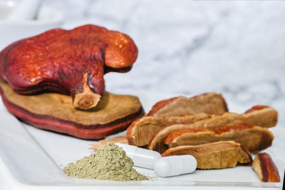 Lingzhi Mushroom Ganoderma Lucidum 