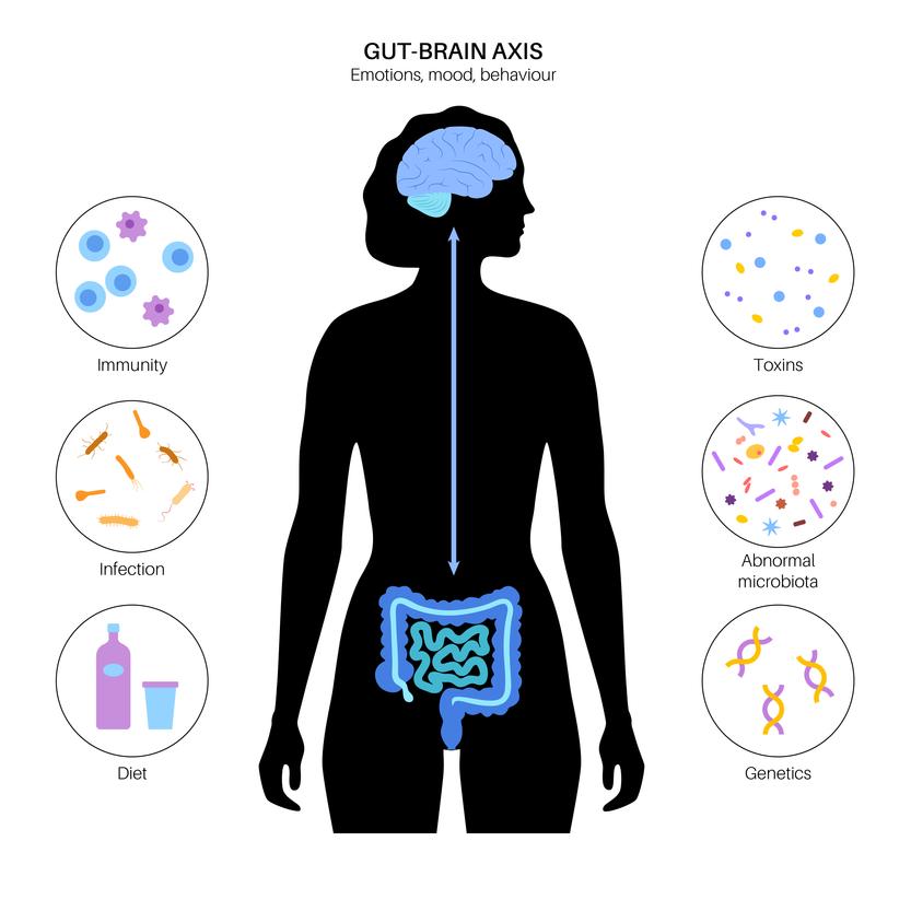 gut brain correlation by TCMchef Raphael