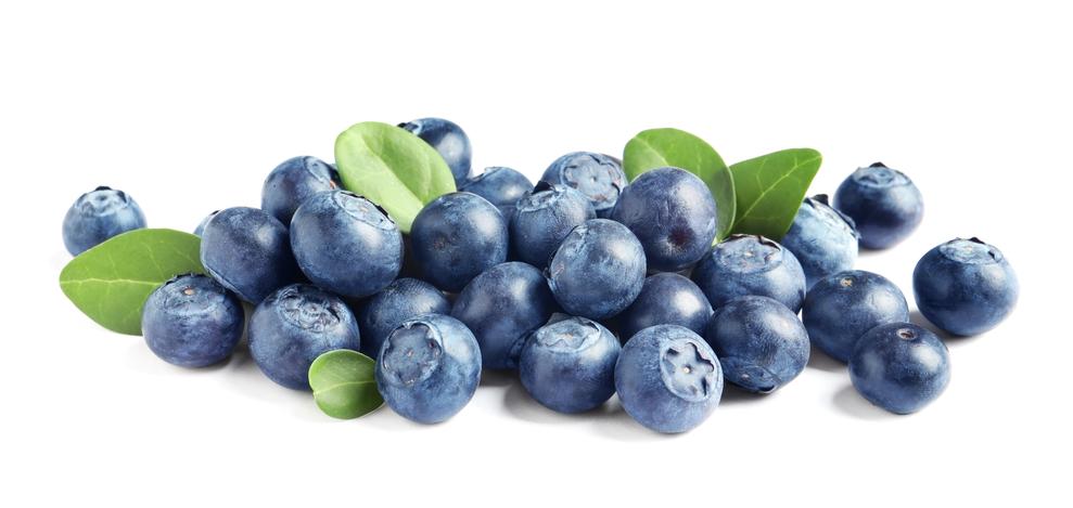 rich on anthocyanins, blueberries and Goji combat stress