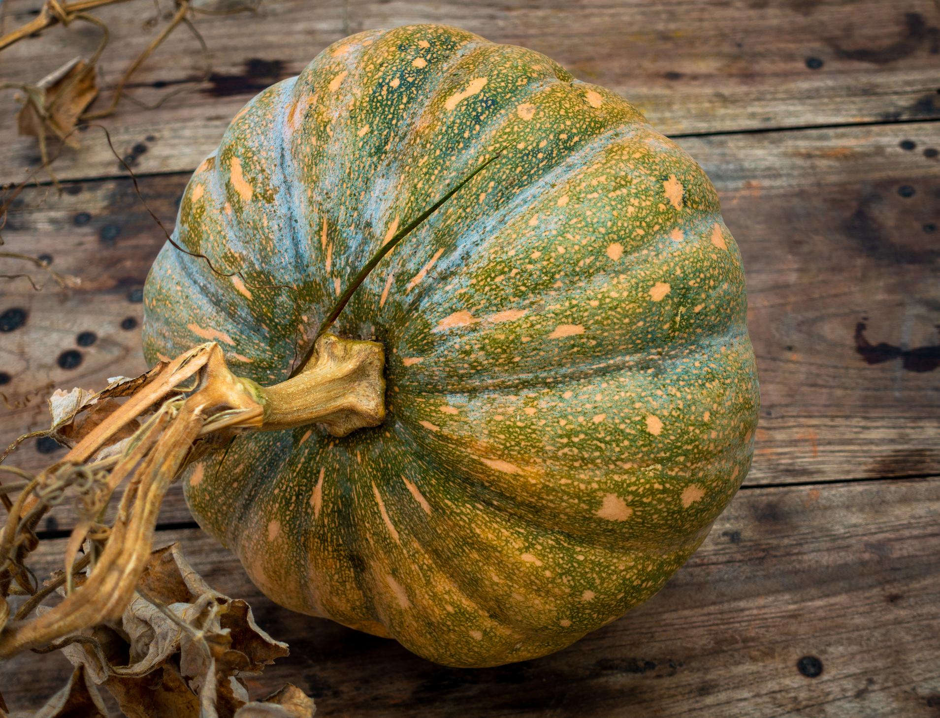 TCMchef raphael explains that kabocha squash is loaded with serotonin and melatonin - an anti-depressive choice