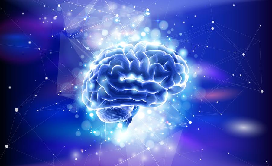 Human brain on a blue technological background surrounded by information fields, neural networks, Internet webs - the concept of modern technology, biotechnology, artificial intelligence / vector draw